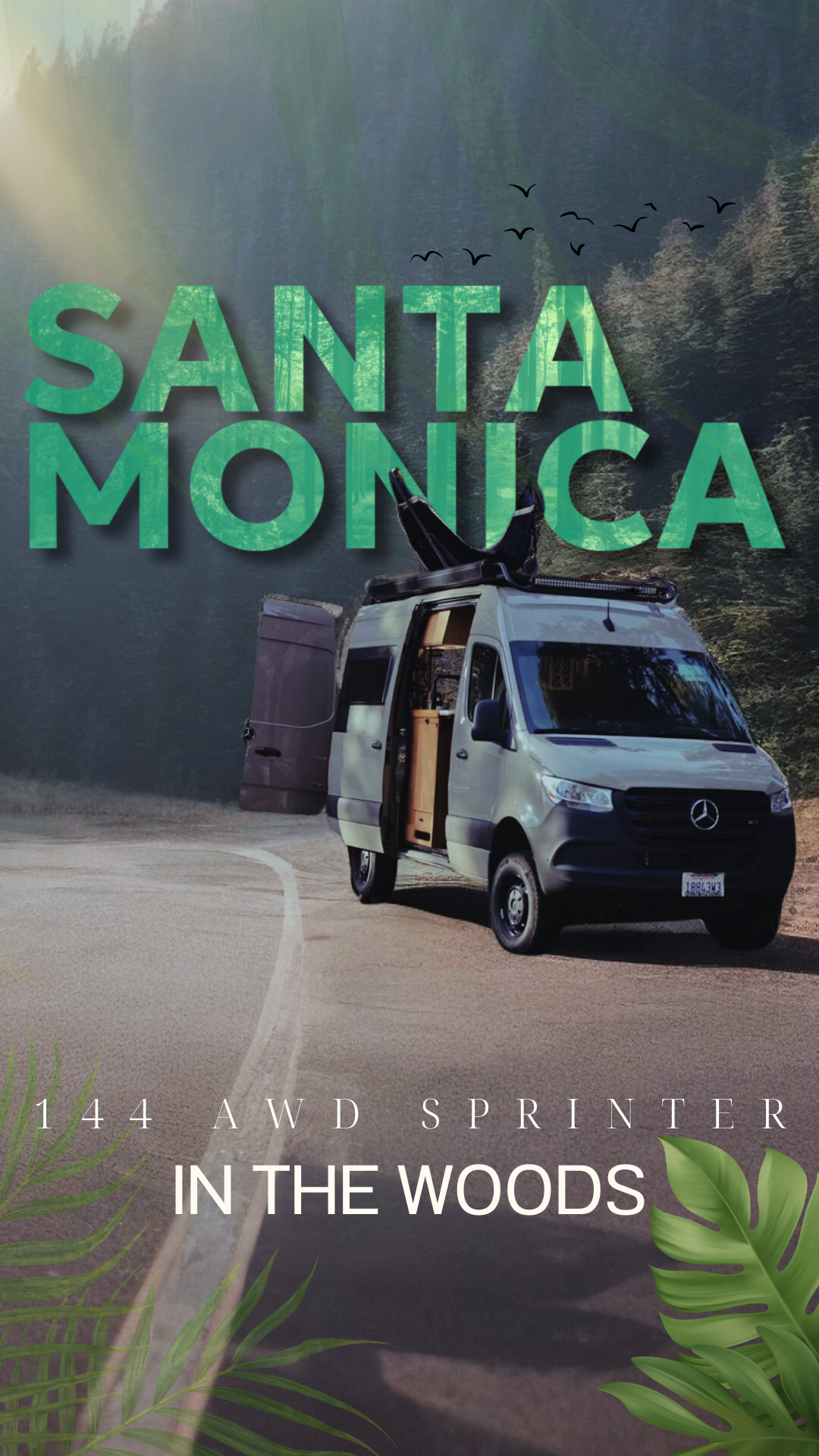 Santa Monica | Sprinter Vans | In The Woods